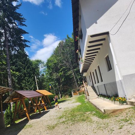 Cabana Valea Bradului Nuksora Kültér fotó