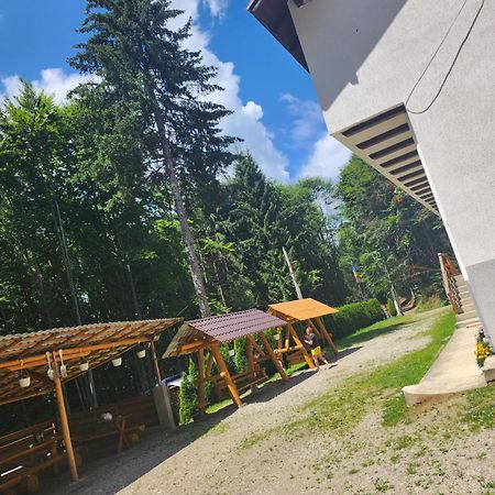 Cabana Valea Bradului Nuksora Kültér fotó