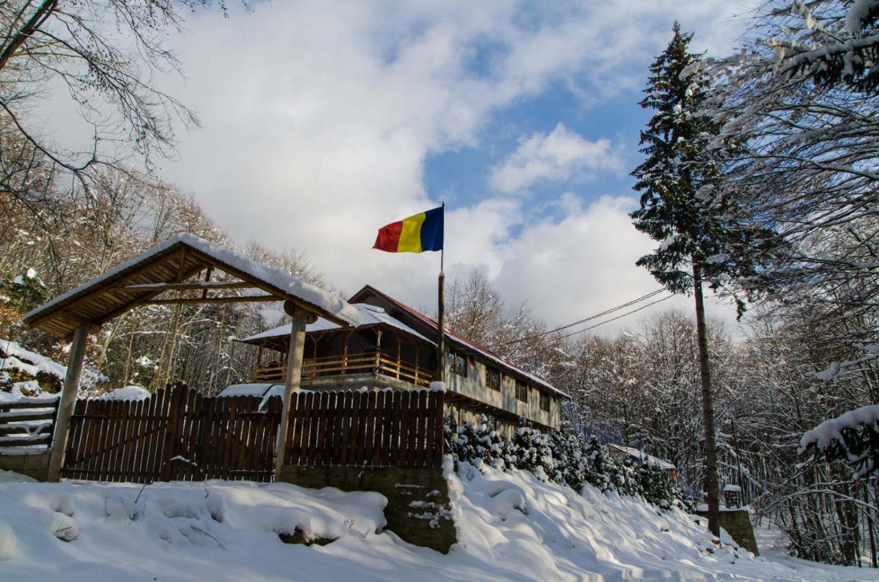 Cabana Valea Bradului Nuksora Kültér fotó