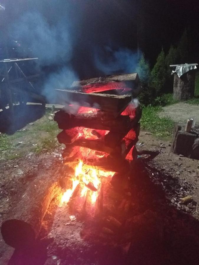 Cabana Valea Bradului Nuksora Kültér fotó