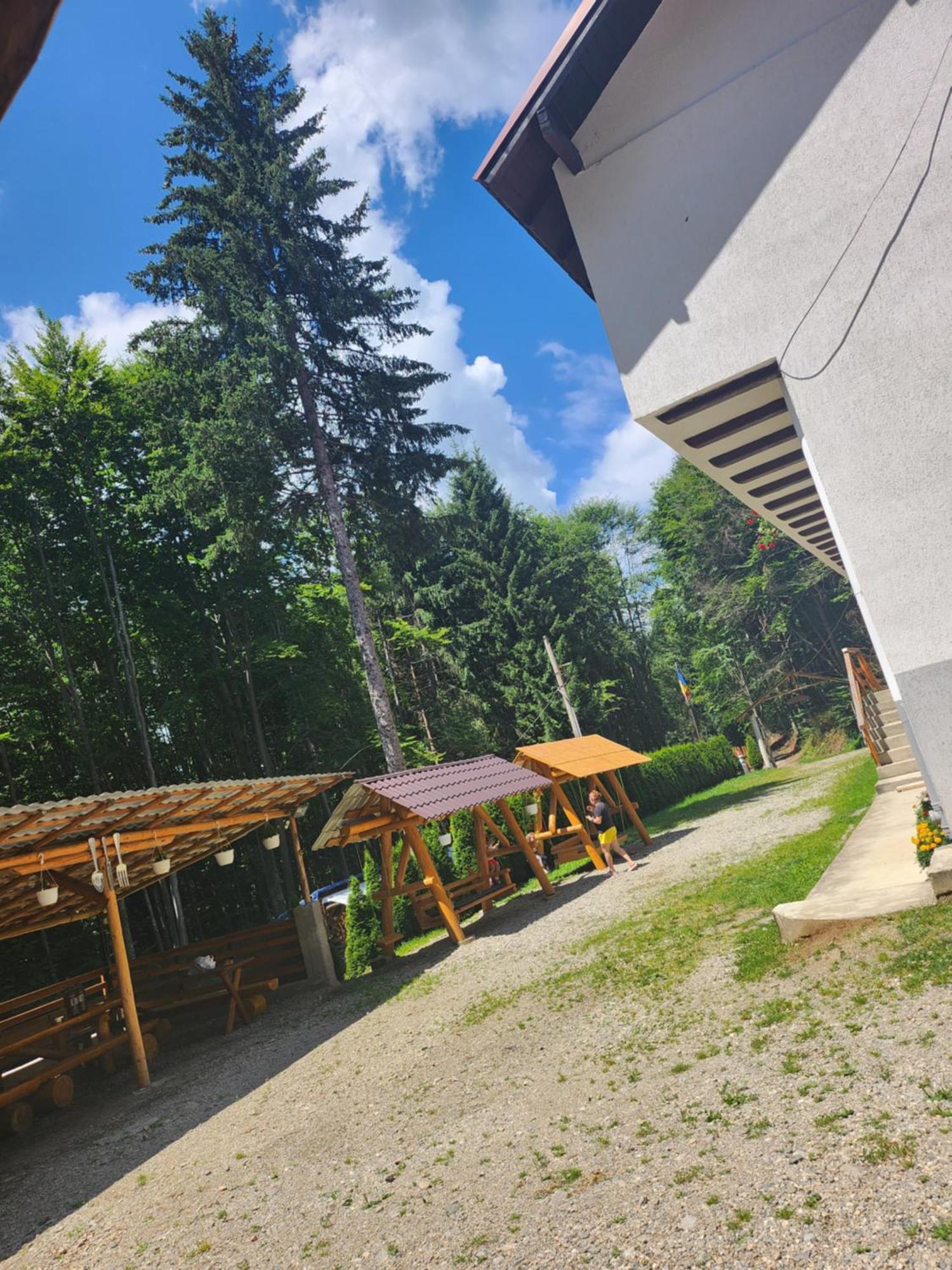 Cabana Valea Bradului Nuksora Kültér fotó